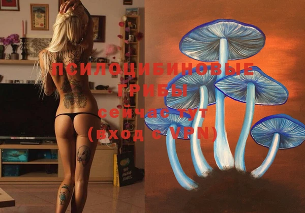ECSTASY Видное