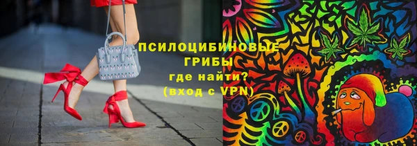 кокс Арсеньев