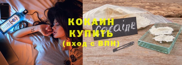 кокс Арсеньев