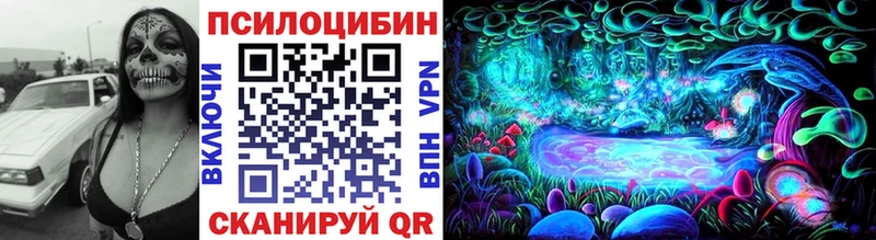 купить наркоту  hydra маркетплейс  Галлюциногенные грибы Magic Shrooms  Елабуга 