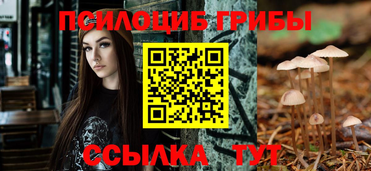 Псилоцибиновые грибы мухоморы Елабуга